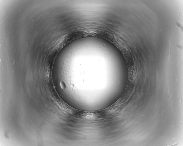 X0000093720710200710301024