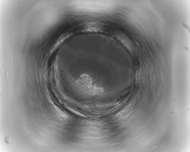 X0000093720722200710301023