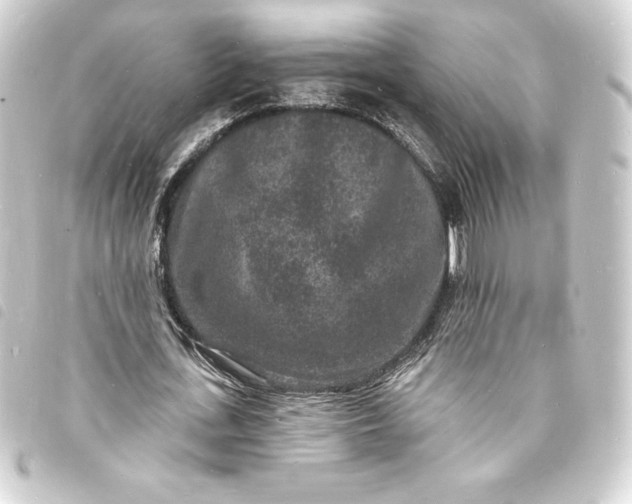 X0000093720723200710301023