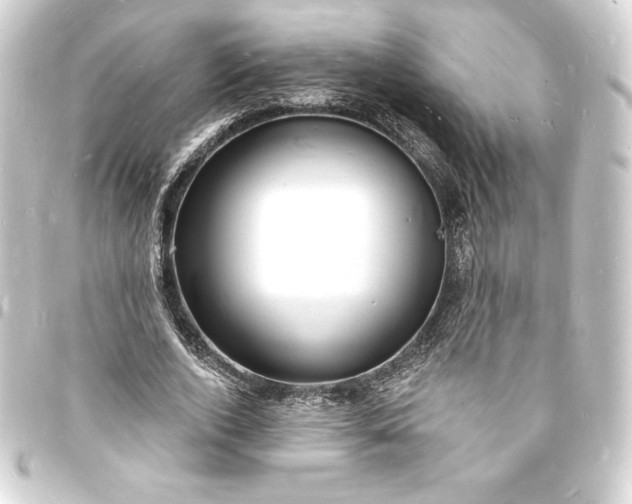 X0000093720728200710301023