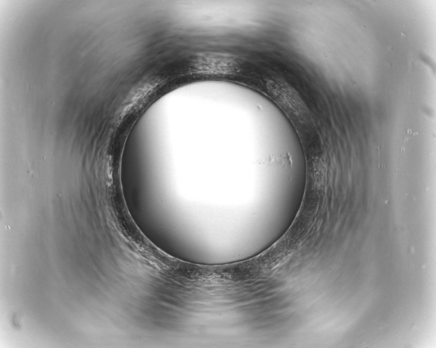X0000093720731200710301023