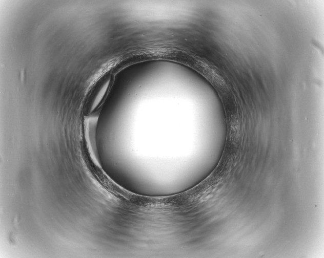 X0000093720734200710301024