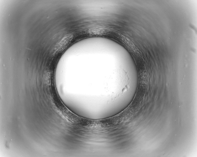 X0000093720738200710301024