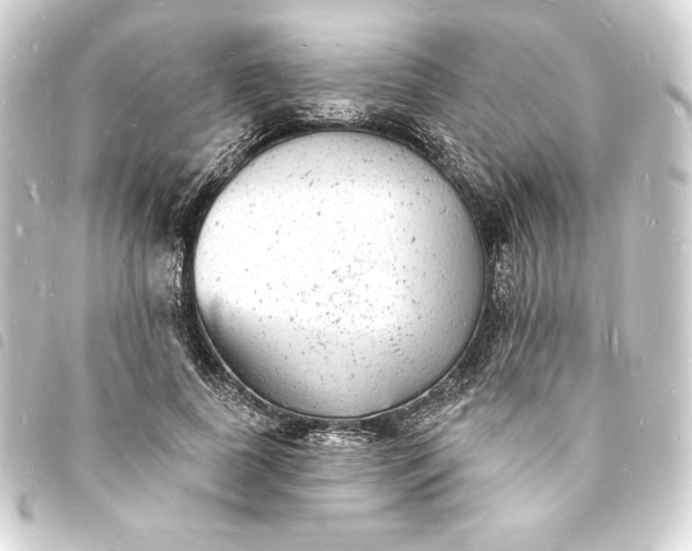 X0000093720739200710301024