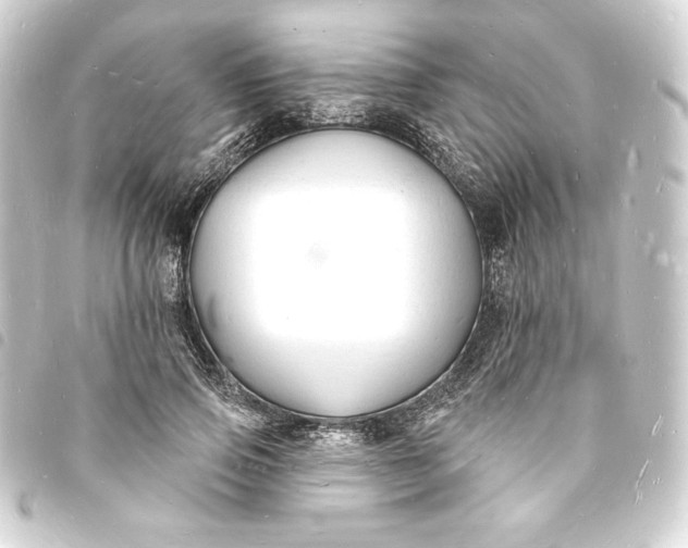 X0000093720741200710301024