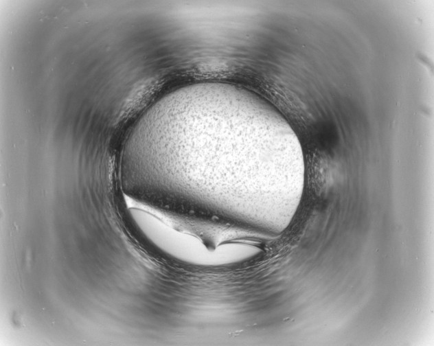 X0000093720742200710301024