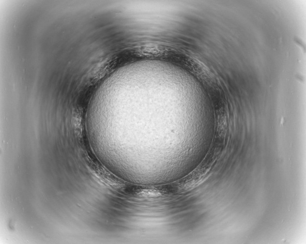 X0000093720749200710301024
