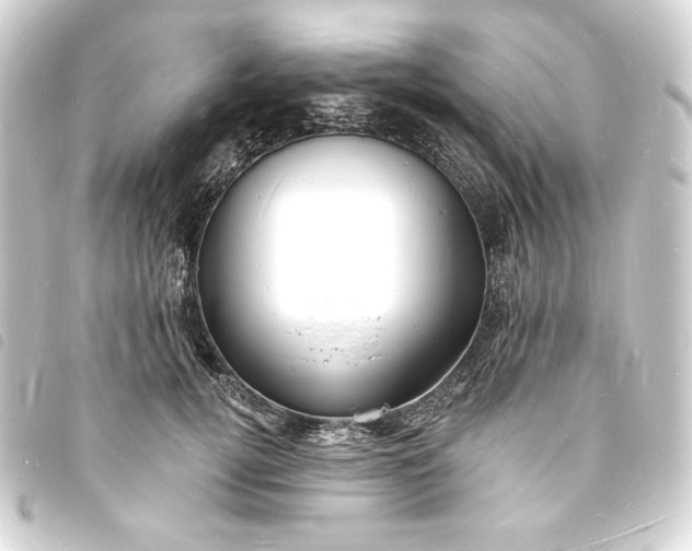 X0000093720752200710301024