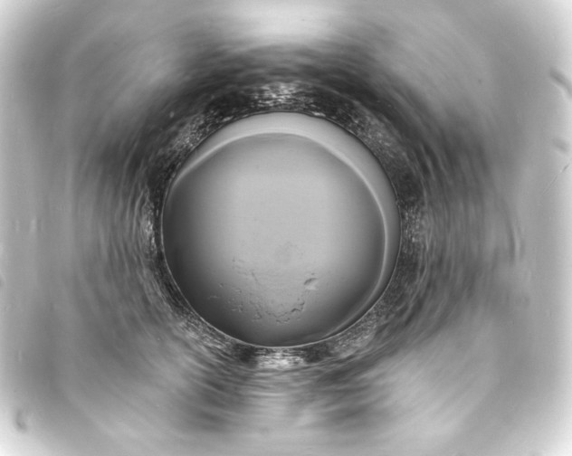 X0000093720754200710301024