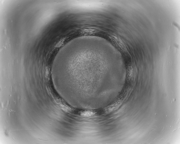 X0000093720759200710301024