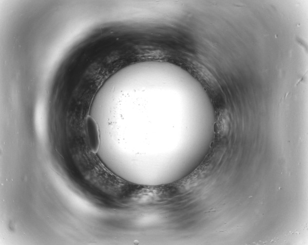 X0000093720764200710301024