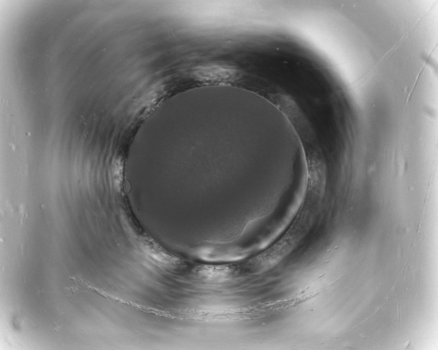 X0000093720767200710301024