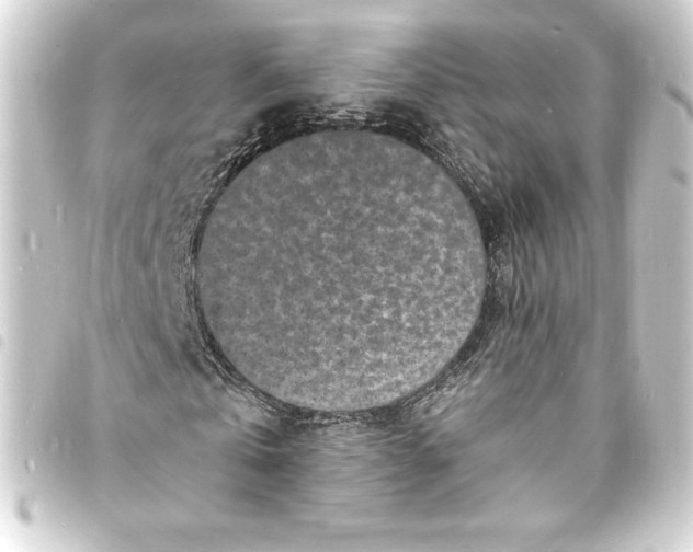 X0000093720769200710301023