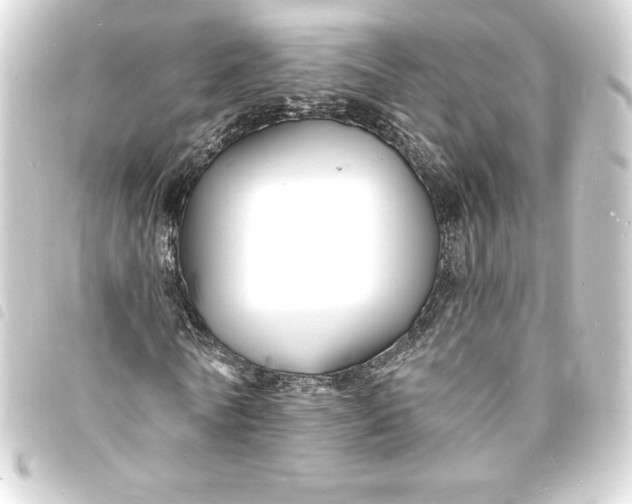 X0000093720770200710301023