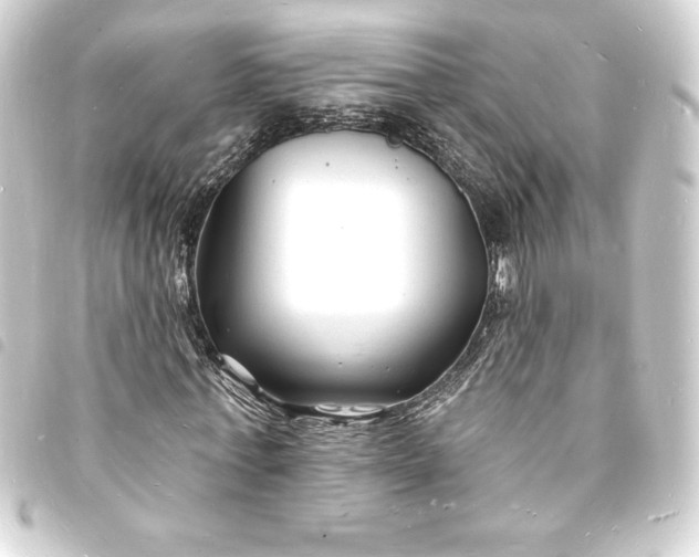 X0000093720771200710301023
