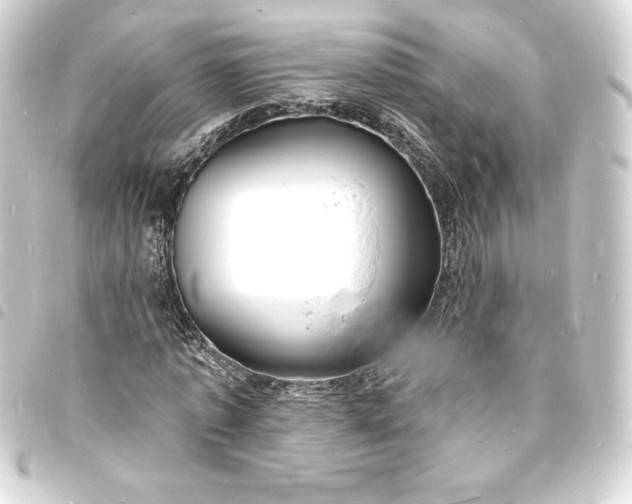 X0000093720773200710301023