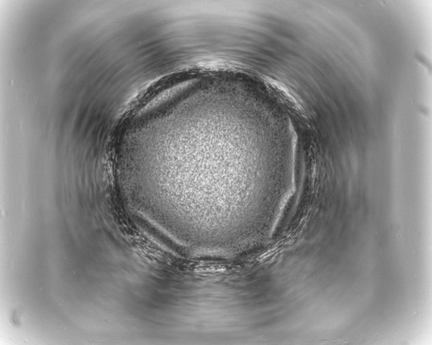 X0000093720776200710301023