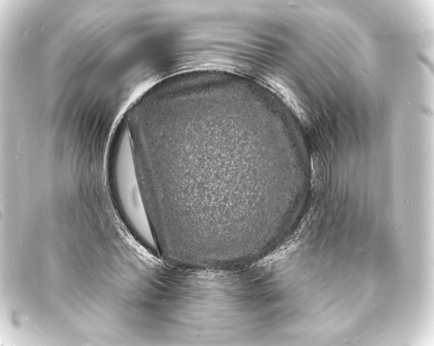 X0000093720780200710301023