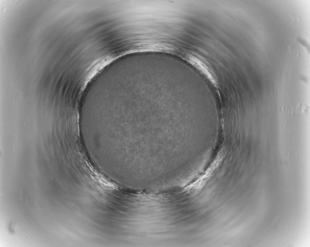 X0000093720781200710301023