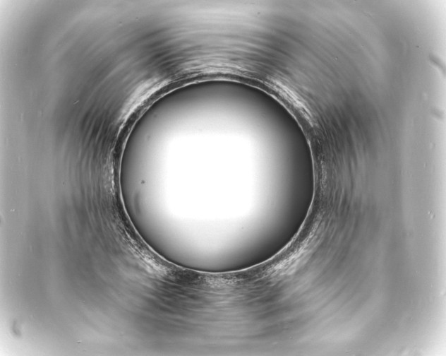 X0000093720782200710301023