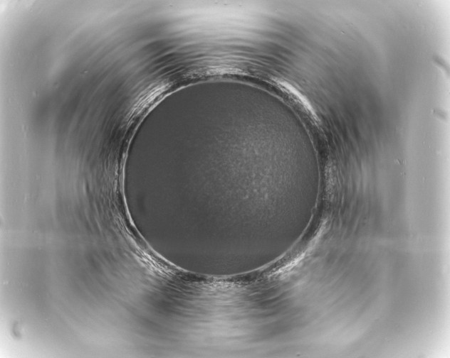 X0000093720785200710301023