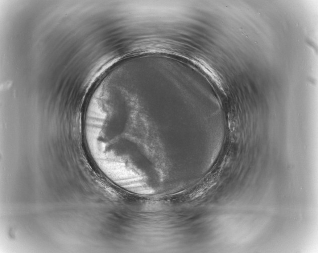 X0000093720790200710301023