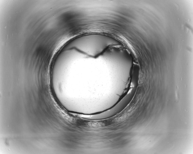 X0000093720795200710301023