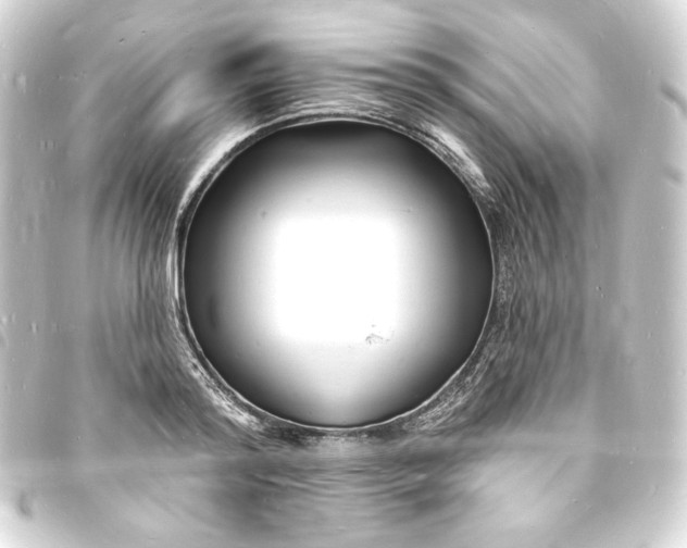 X0000093720796200710301023