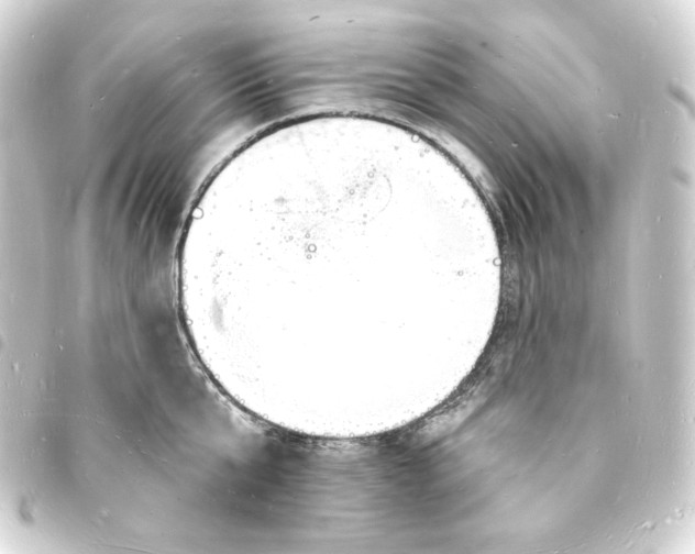X0000093720807200710301023