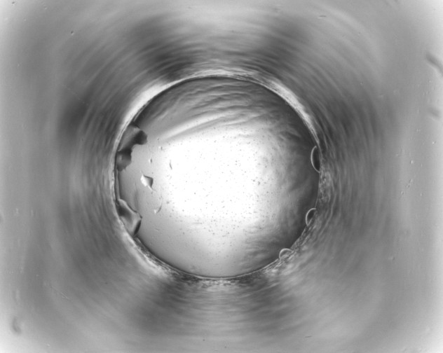X0000093720811200710301023
