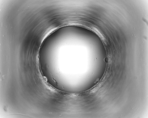 X0000093720814200710301023