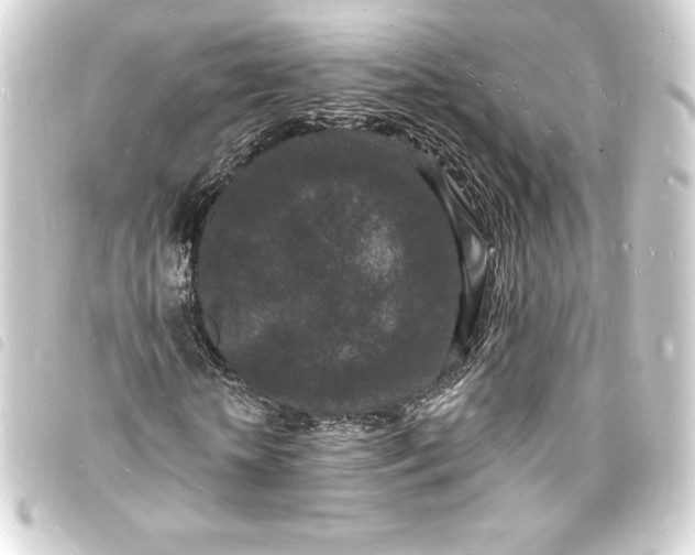 X0000093720818200710301022