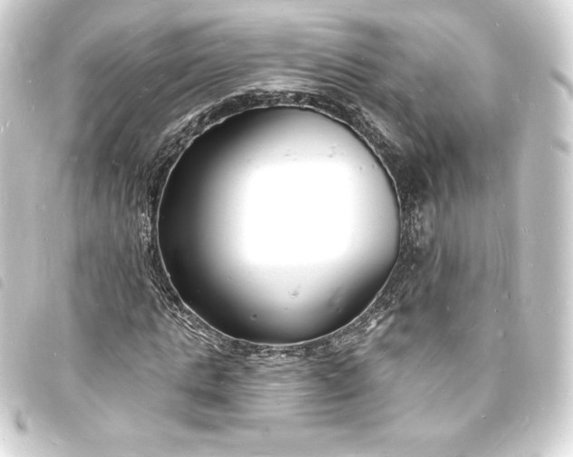X0000093720821200710301022