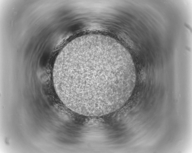 X0000093720824200710301022