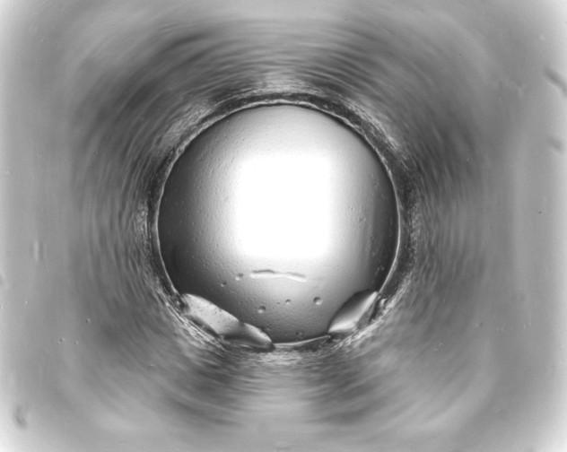 X0000093720825200710301022