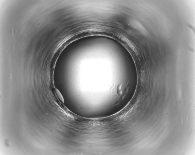 X0000093720829200710301022