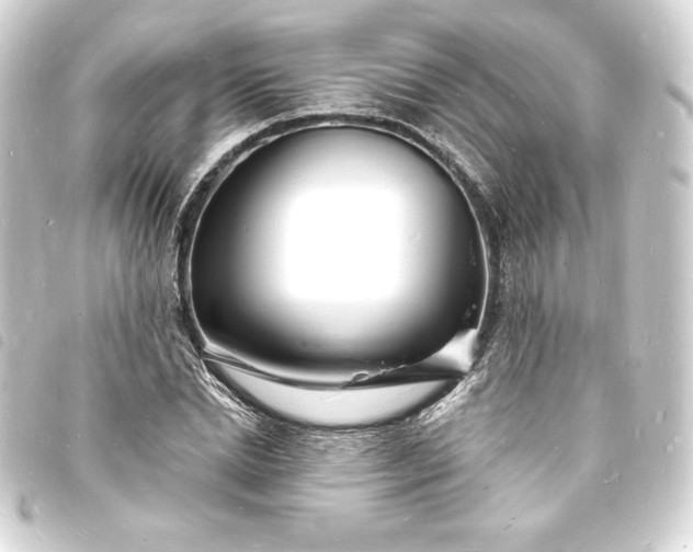 X0000093720830200710301022