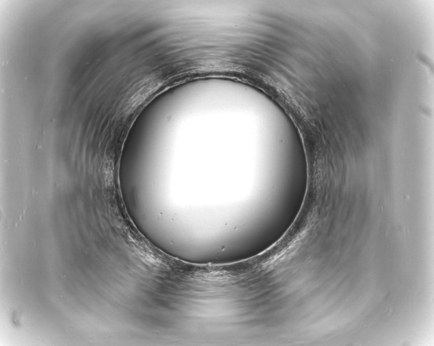 X0000093720833200710301022
