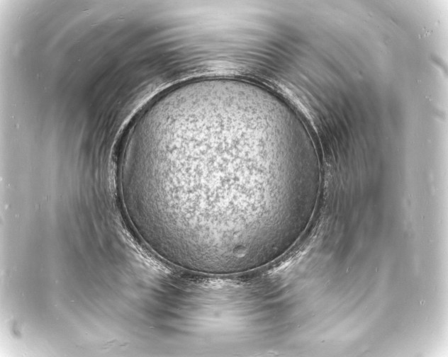 X0000093720835200710301022