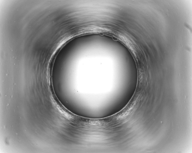 X0000093720843200710301022
