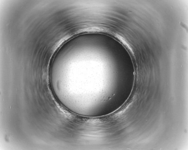 X0000093720845200710301022