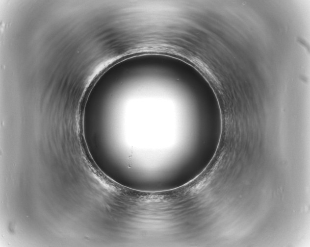 X0000093720846200710301022