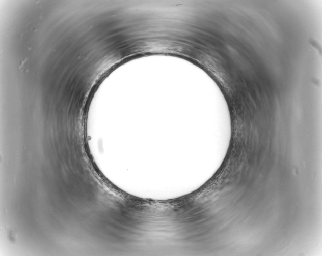 X0000093720848200710301023