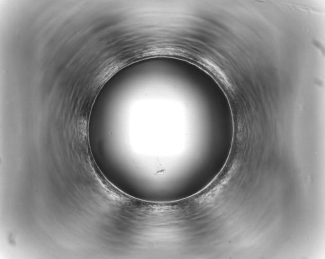 X0000093720849200710301023
