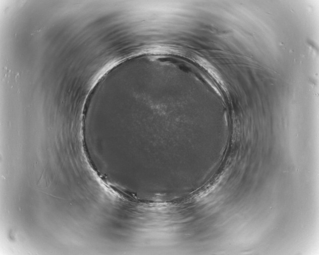 X0000093720853200710301023