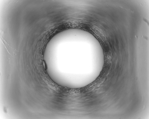 X0000093720865200710301022