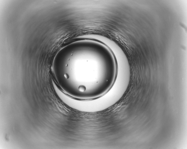 X0000093720868200710301022