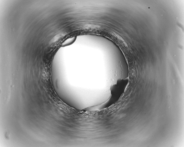 X0000093720869200710301022