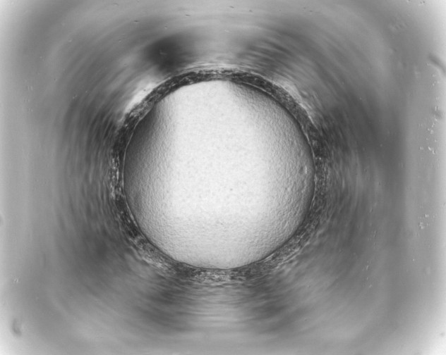 X0000093720871200710301022