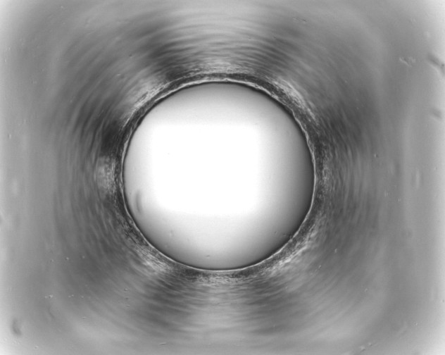 X0000093720873200710301022